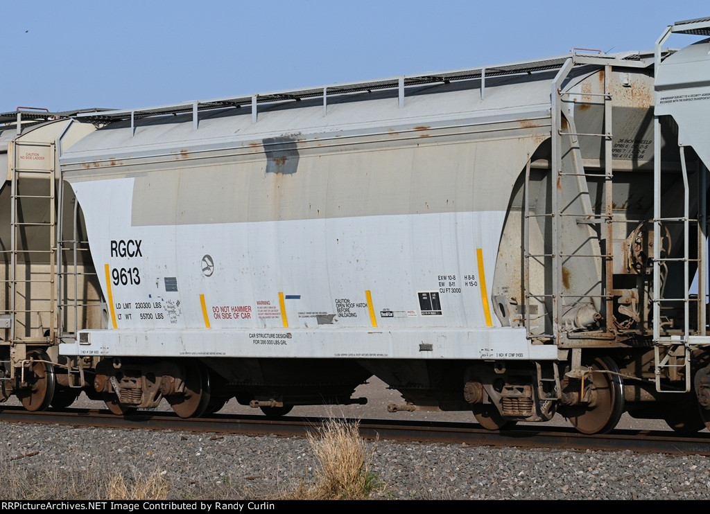 RGCX 9613